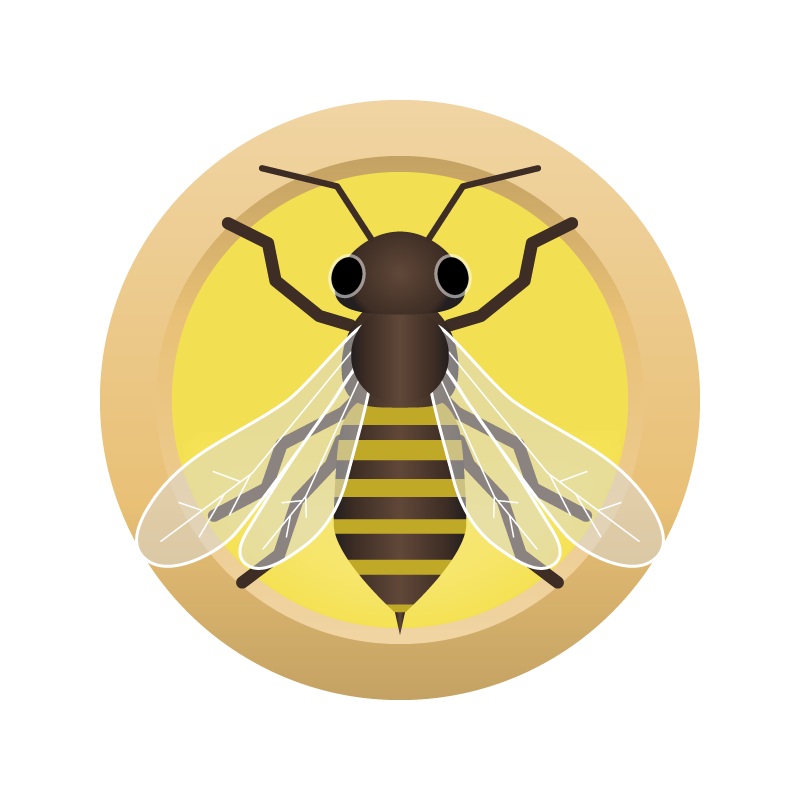 AHS Honey Kolsch  (6C) – EXTRACT Homebrew Ingredient Kit