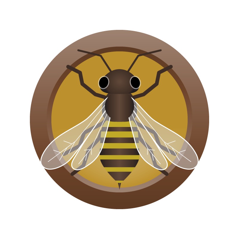 AHS Honey Porter  (12B) – EXTRACT Homebrew Ingredient Kit