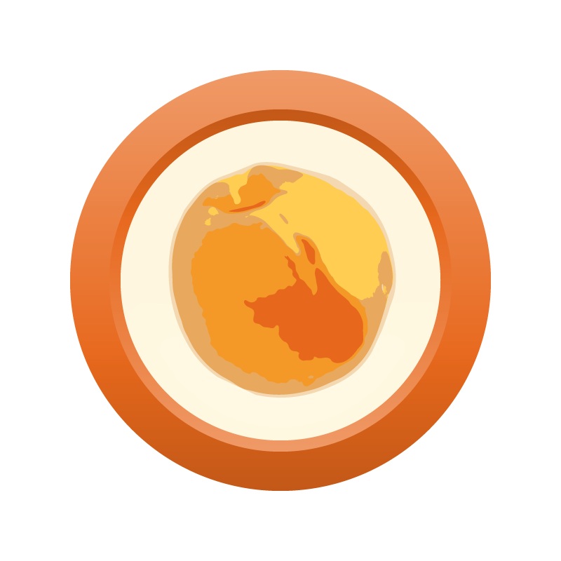 AHS Peach Ale  (20) – EXTRACT Homebrew Ingredient Kit
