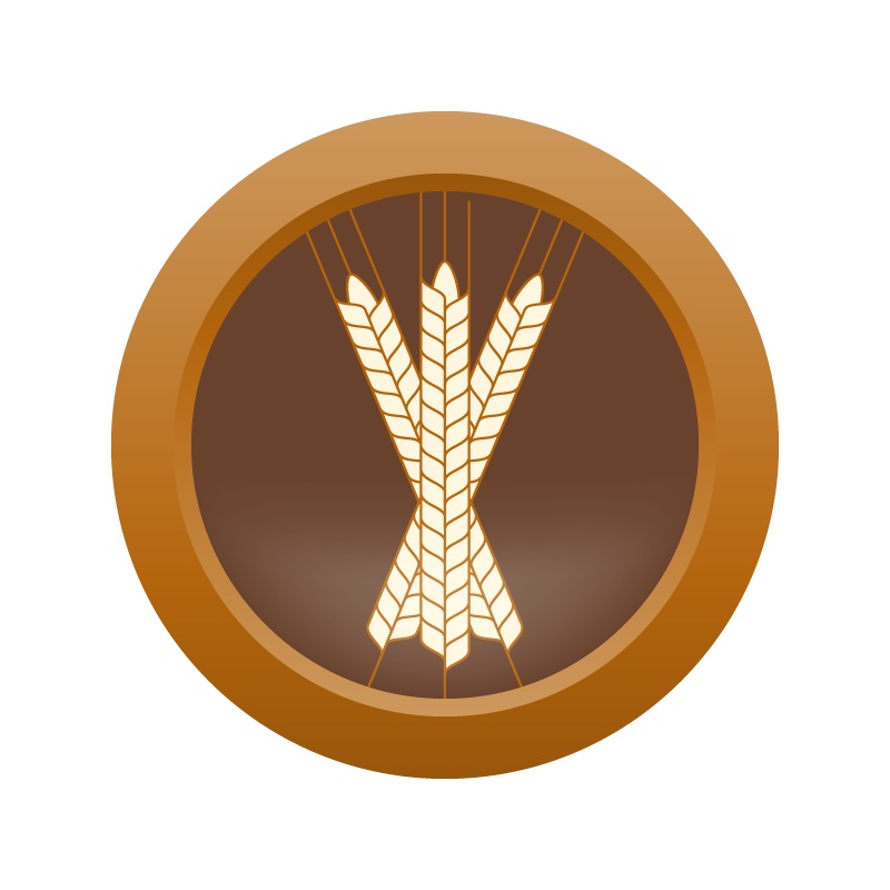 AHS Strong Ale  (21B) – EXTRACT Homebrew Ingredient Kit