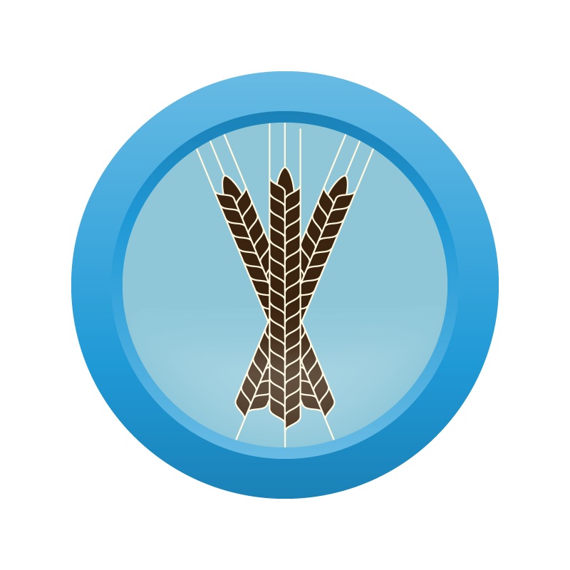 AHS Roggenbier  (15D) – EXTRACT Homebrew Ingredient Kit