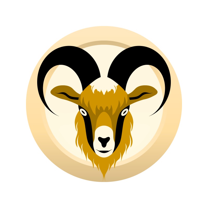 AHS Texas Pale Bock  (5A) – EXTRACT Homebrew Ingredient Kit