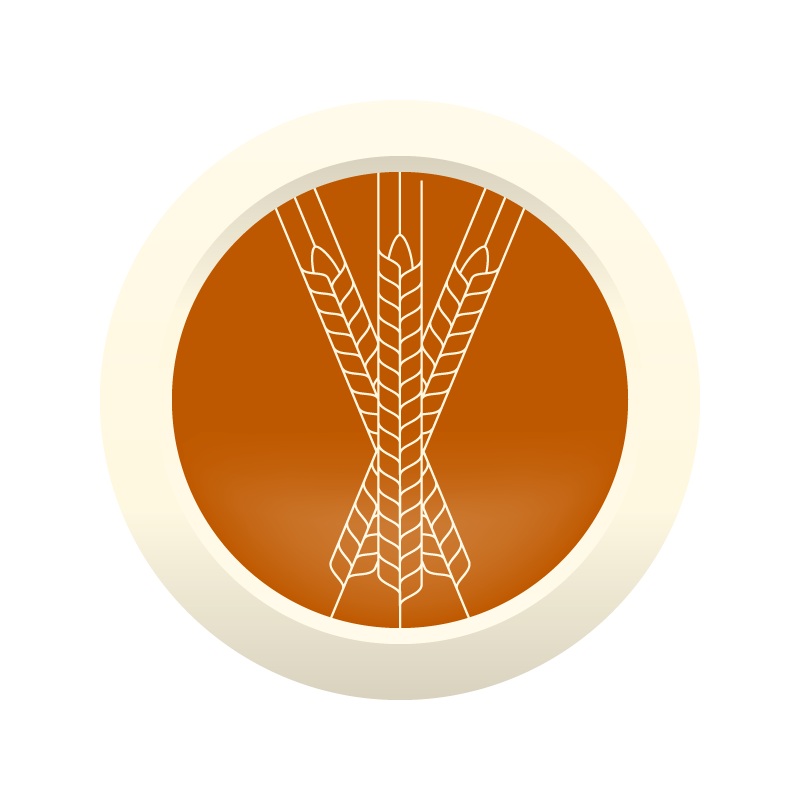 AHS American Standard Lager  (1B) – EXTRACT Homebrew Ingredient Kit