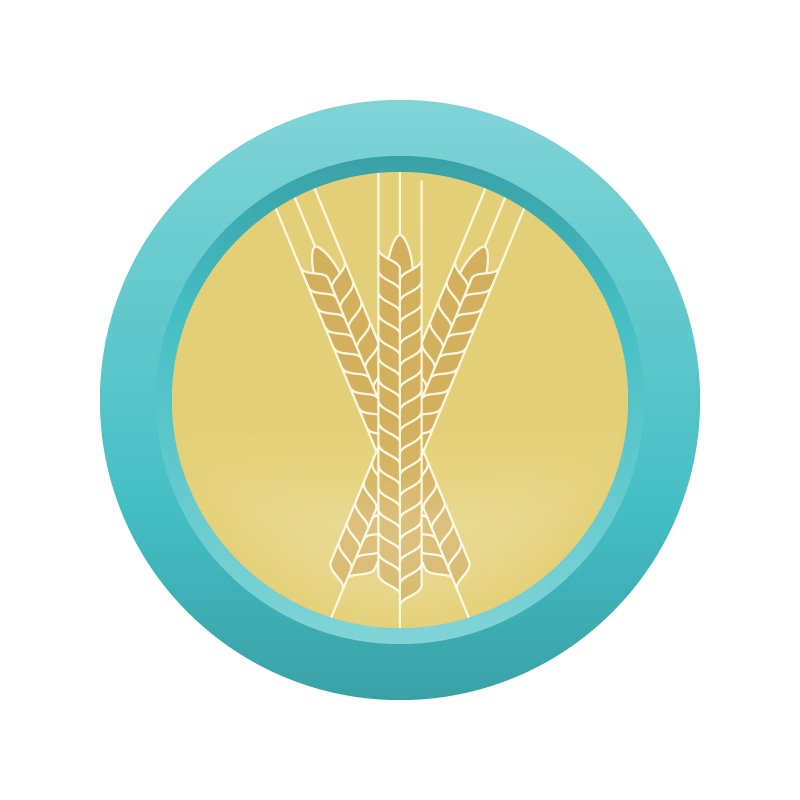 AHS Blonde Ale  (6B) – EXTRACT Homebrew Ingredient Kit