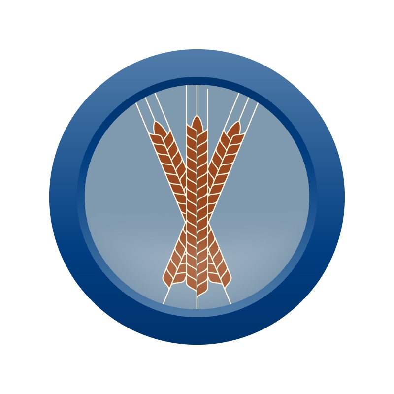 AHS Cassis Wheat  (20) – EXTRACT Homebrew Ingredient Kit