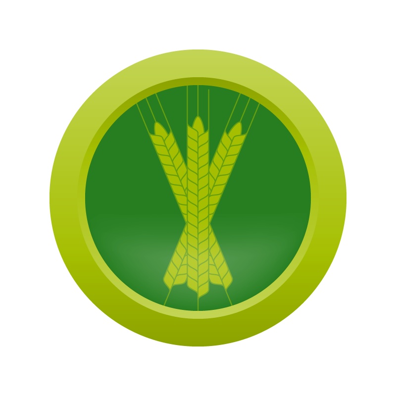 AHS Czech Pilsner  (2B) – EXTRACT Homebrew Ingredient Kit
