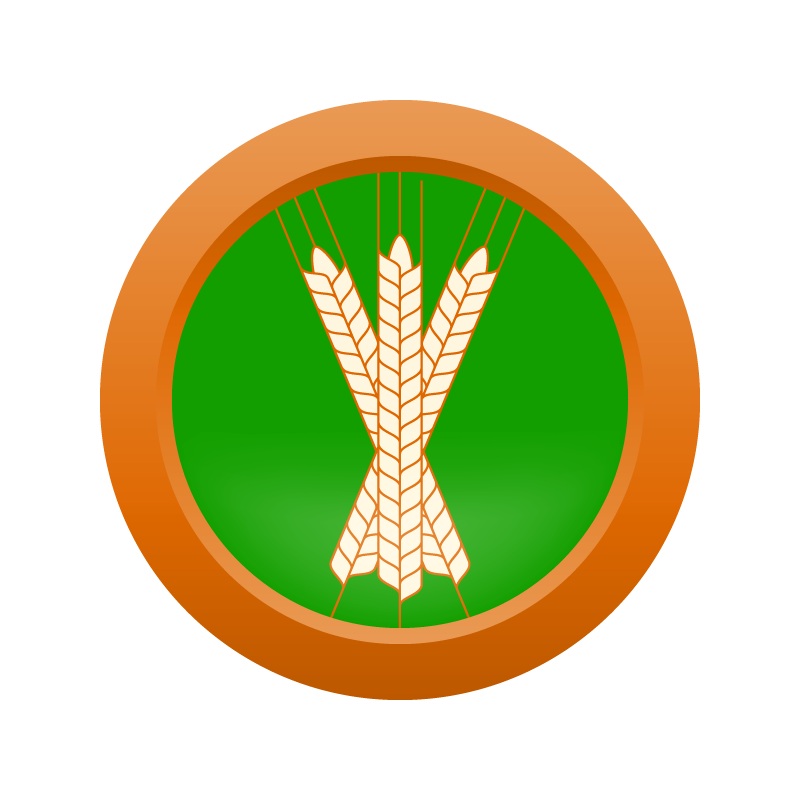 AHS Dutch Pilsner Lager  (2A) – EXTRACT Homebrew Ingredient Kit