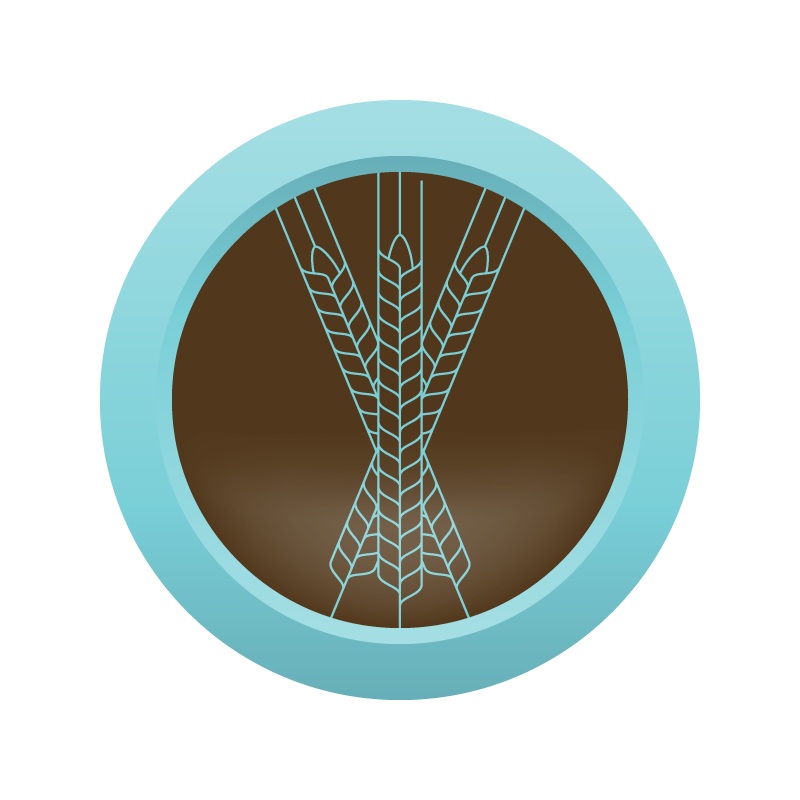 AHS Indian Brown Ale  (11C) – ALL GRAIN Homebrew Ingredient Kit