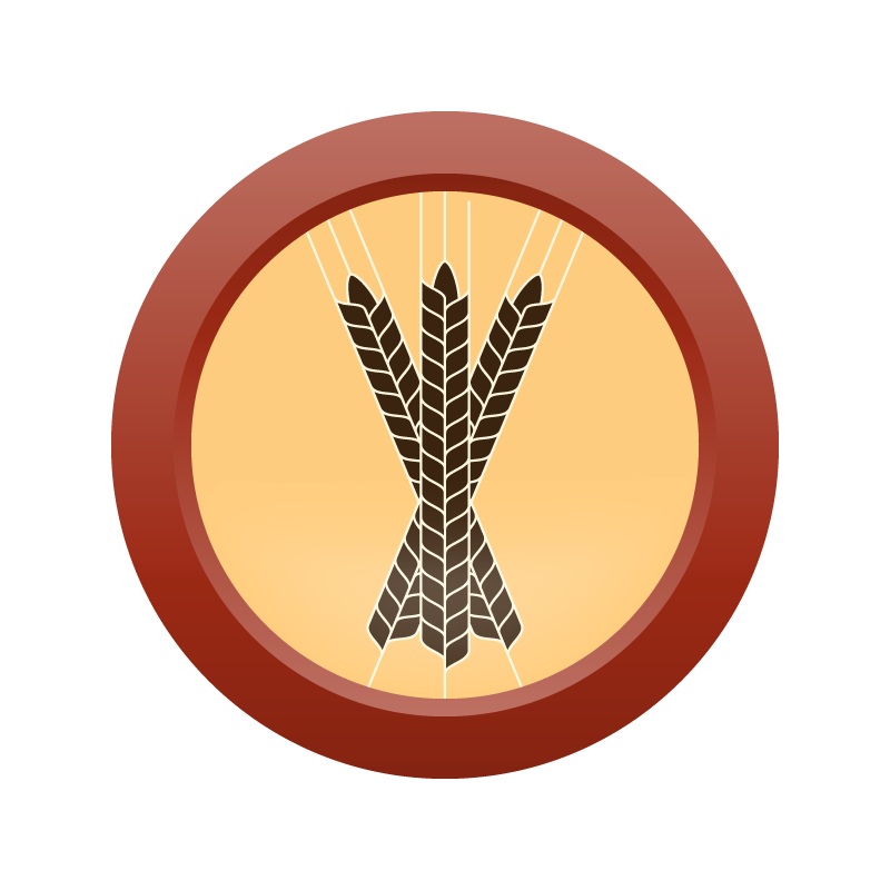 AHS Red Wheat  (6D) – EXTRACT Homebrew Ingredient Kit