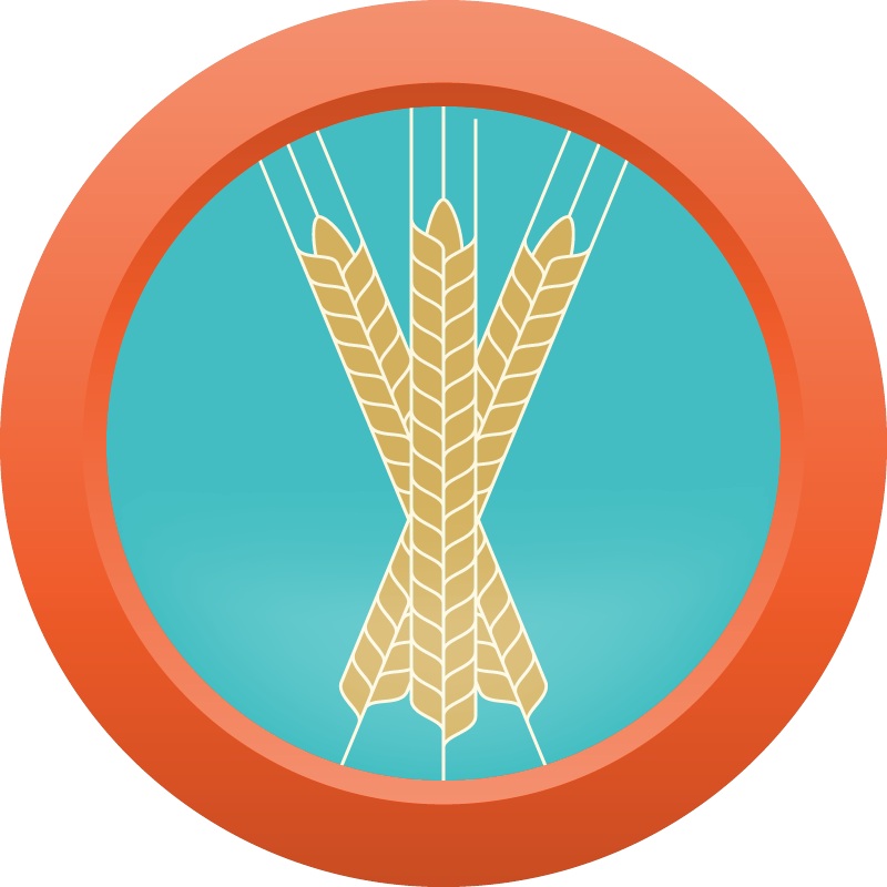 AHS Session Series Blonde Ale – EXTRACT Homebrew Ingredient Kit
