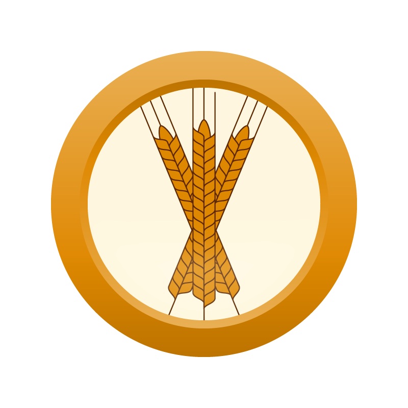 AHS American Amber Lager  (3B) – ALL GRAIN Homebrew Ingredient Kit