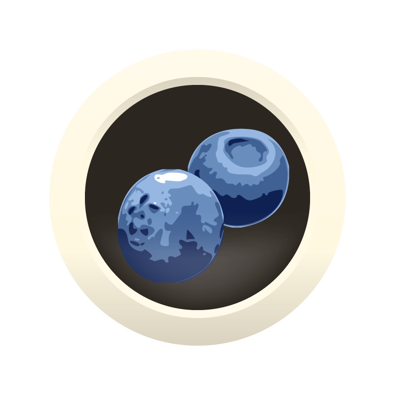 AHS Blueberry Cream Porter  (12A) – ALL GRAIN Homebrew Ingredient Kit