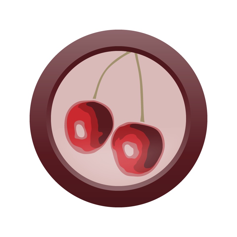 AHS Cherry Stout  (20) – MINI MASH Homebrew Ingredient Kit