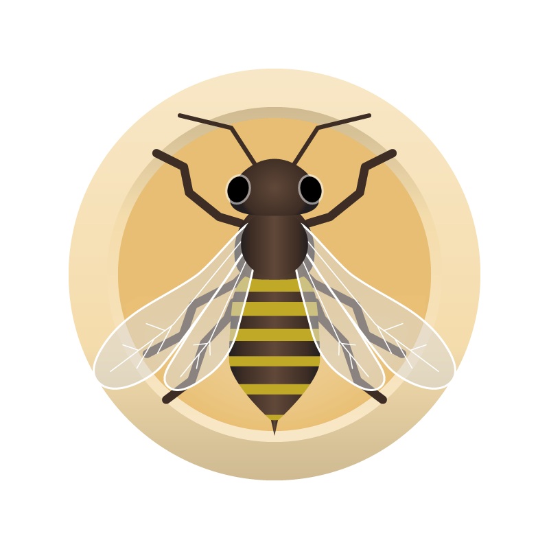 AHS Honey Blonde  (6B) – ALL GRAIN Homebrew Ingredient Kit