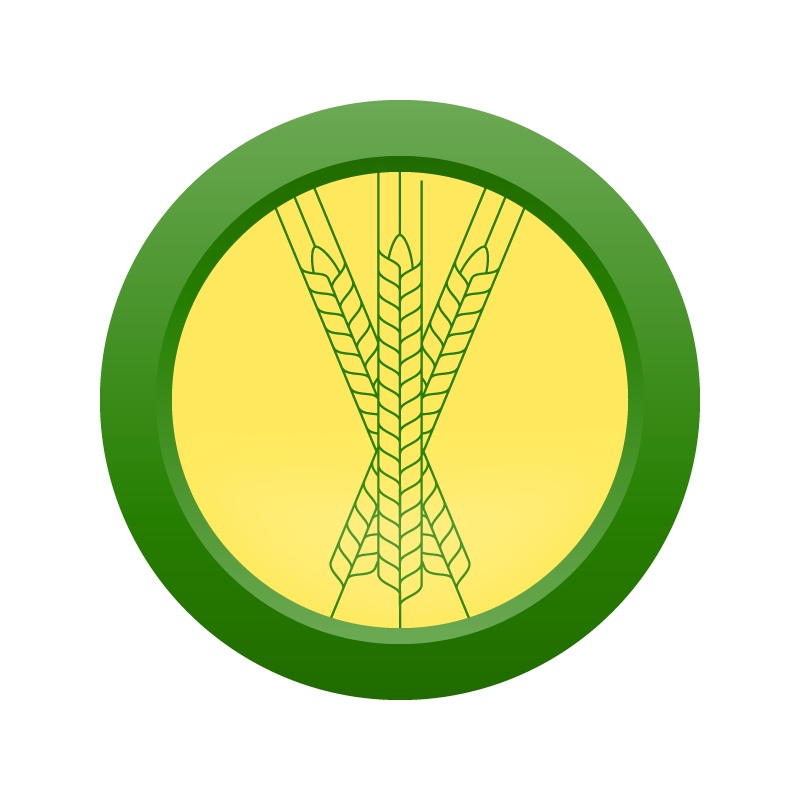 AHS Lawnmower Lager  (1B) – MINI MASH Homebrew Ingredient Kit