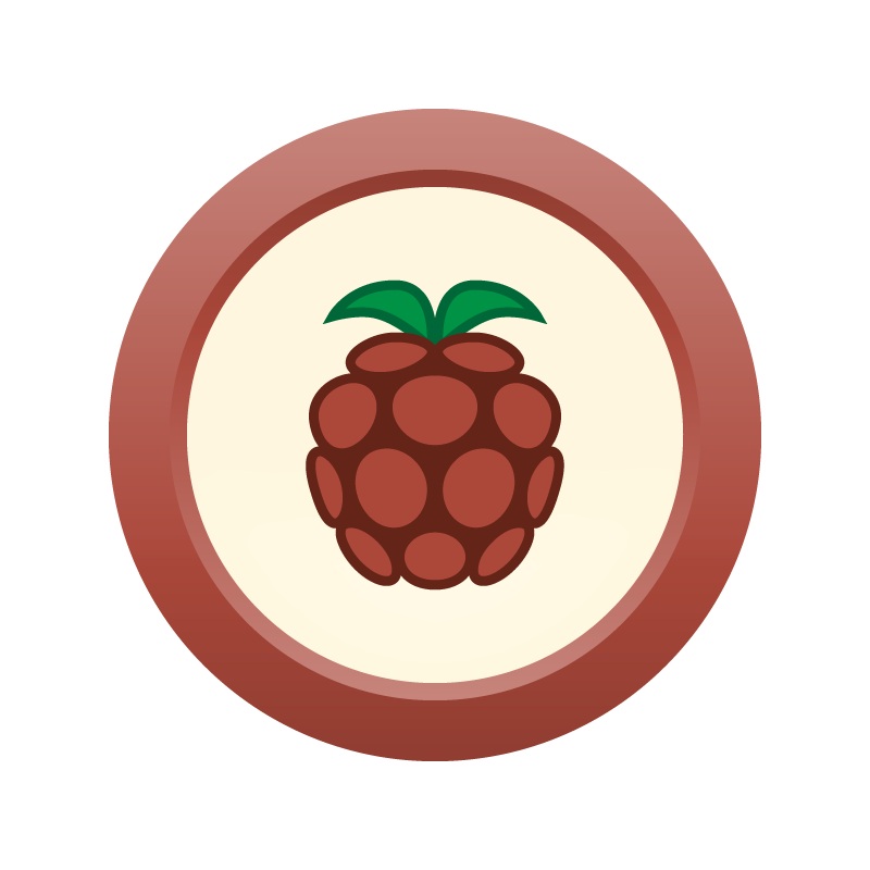 AHS Raspberry Ale  (20) – ALL GRAIN Homebrew Ingredient Kit