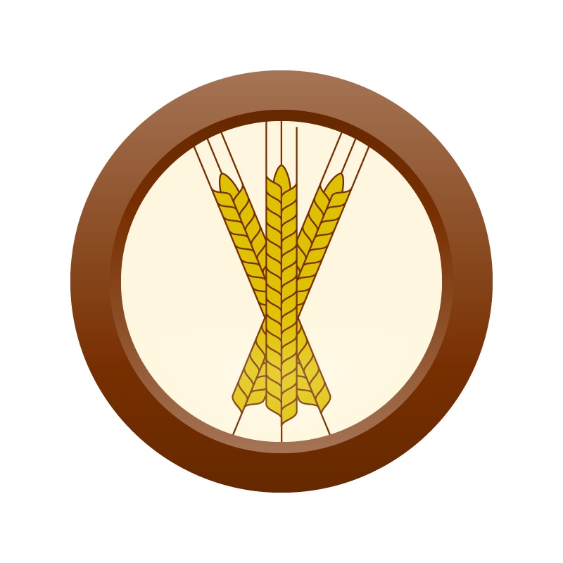 AHS Six Malt Amber Ale  (10B) – ALL GRAIN Homebrew Ingredient Kit