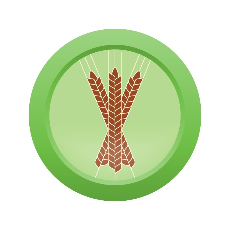 AHS Titania Wheat Ale  (6D) – EXTRACT Homebrew Ingredient Kit