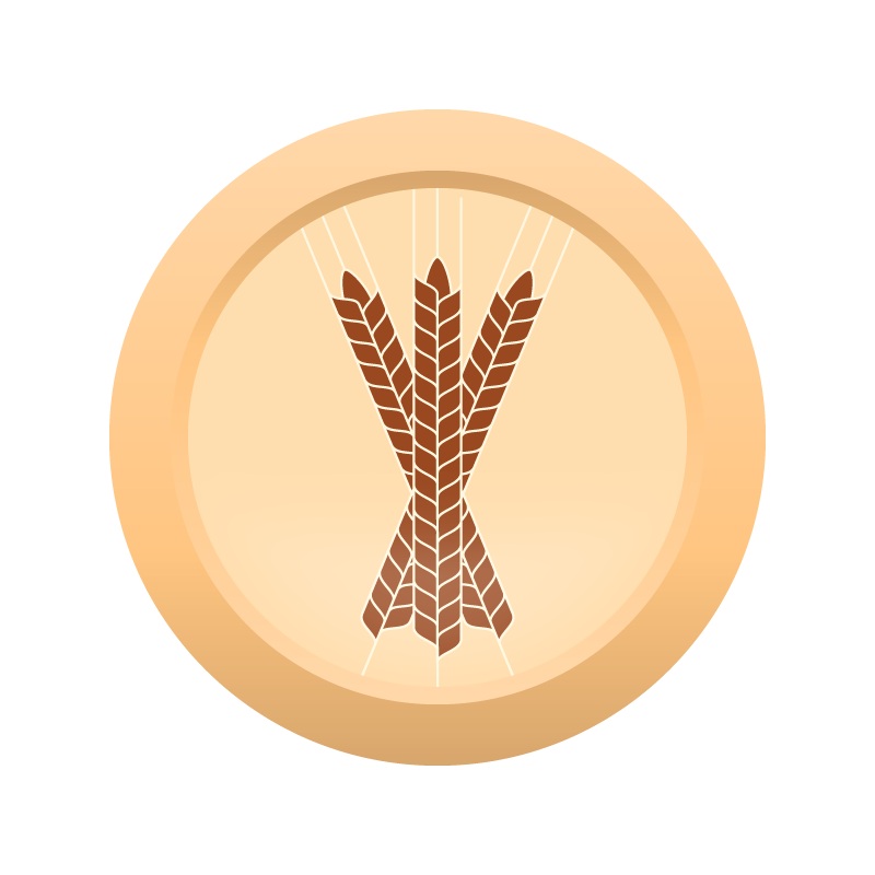 AHS Utah Apricot Wheat  (20) – ALL GRAIN Homebrew Ingredient Kit