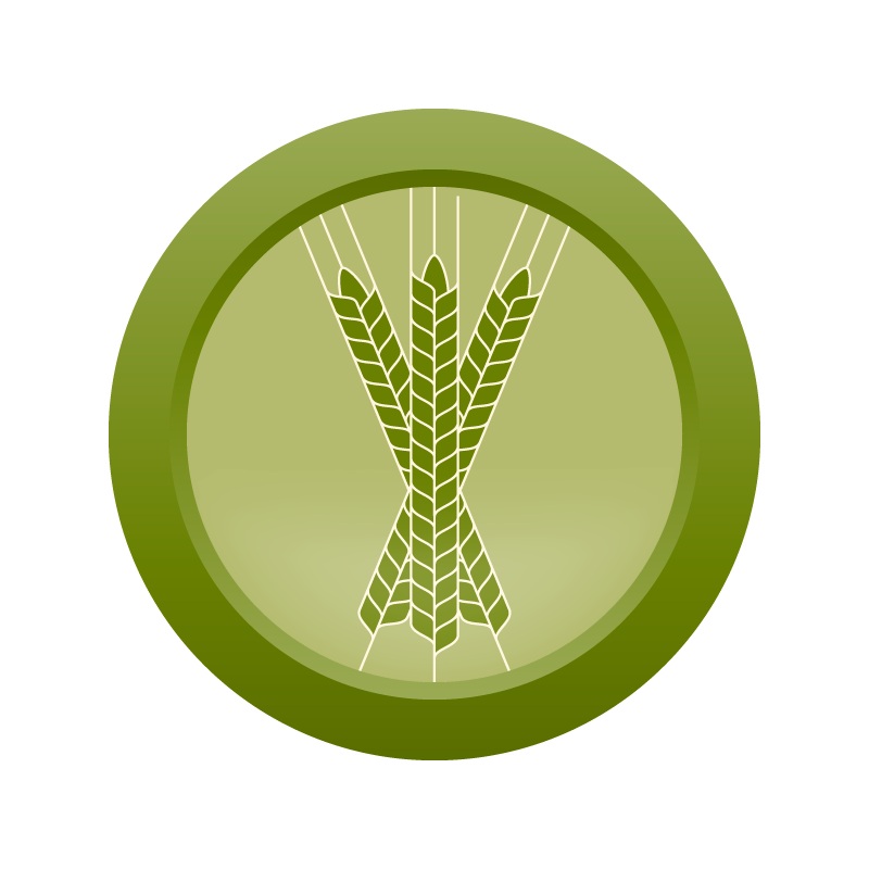 AHS German Weissbier  (15A) – ALL GRAIN Homebrew Ingredient Kit