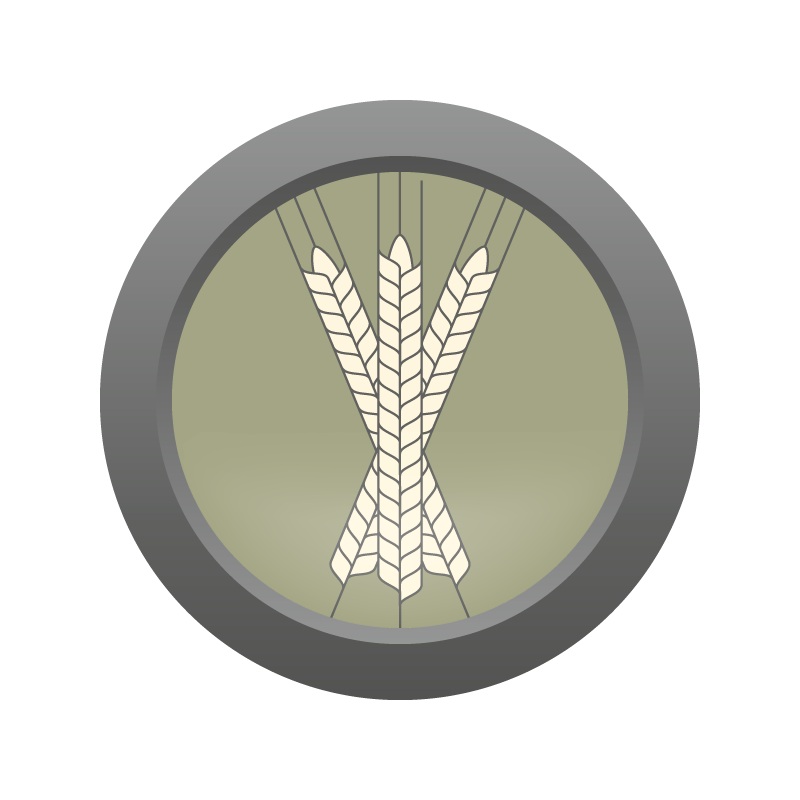 AHS North German Pilsner Lager  (2A) – ALL GRAIN Homebrew Ingredient Kit