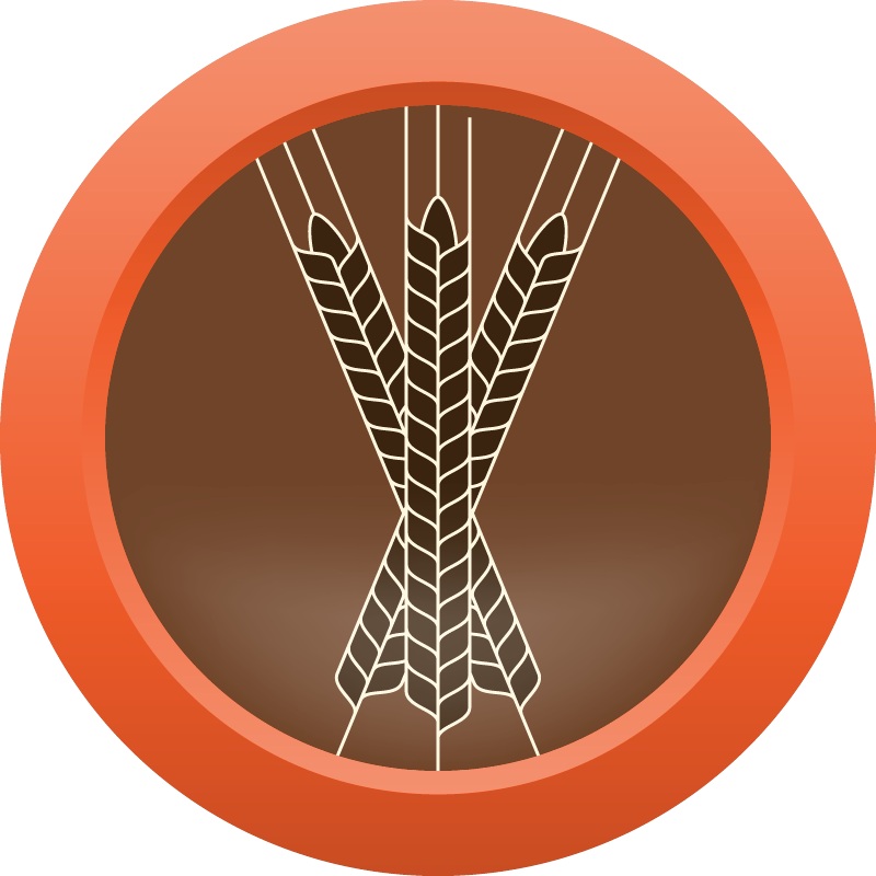 AHS Session Series Brown Porter – ALL GRAIN Homebrew Ingredient Kit