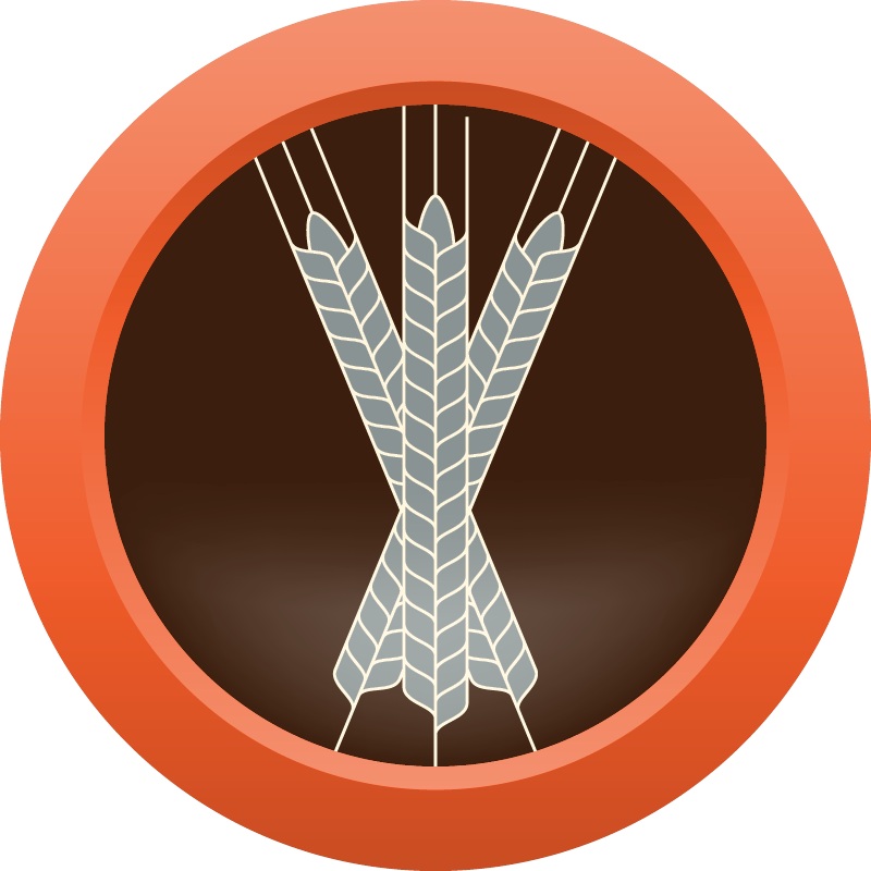 AHS Session Series Dry Stout – ALL GRAIN Homebrew Ingredient Kit