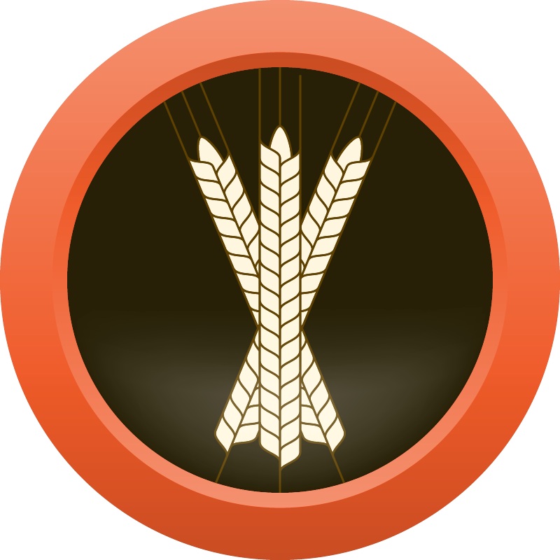 AHS Session Series Dunkelweizen – ALL GRAIN Homebrew Ingredient Kit