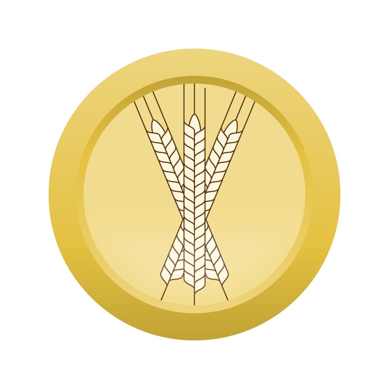 AHS Vanilla Porter  (12B) – ALL GRAIN Homebrew Ingredient Kit
