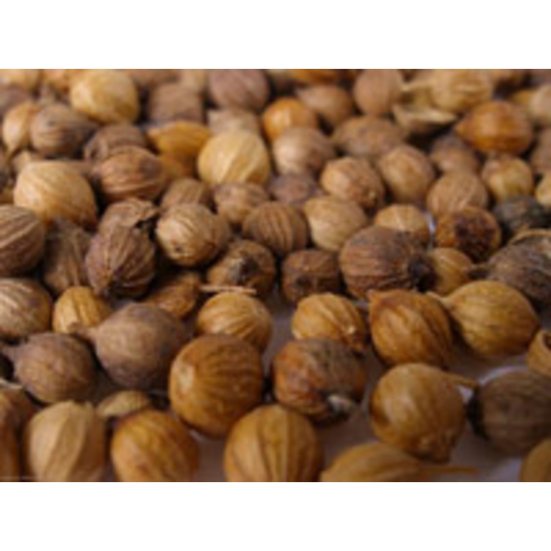 Coriander Seed – 1 oz