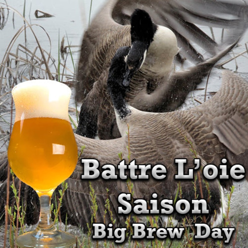 AHA Battre L’oie Saison (16C) – Extract Homebrew Ingredient Kit