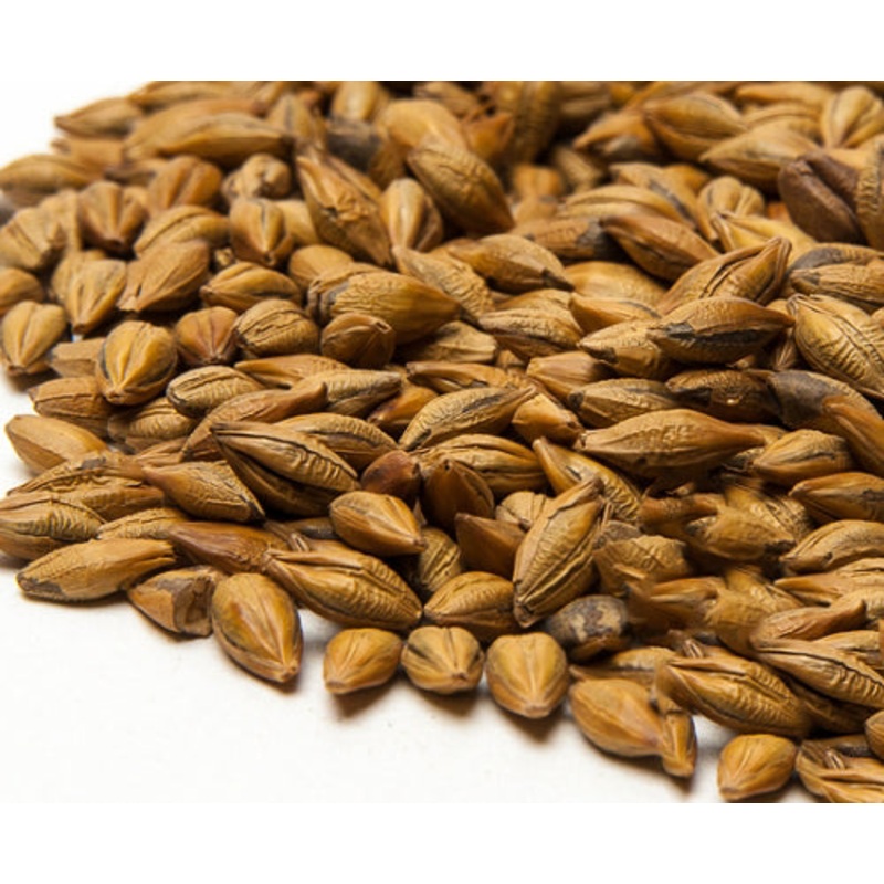 Amber Malt – lb|Yes|NO