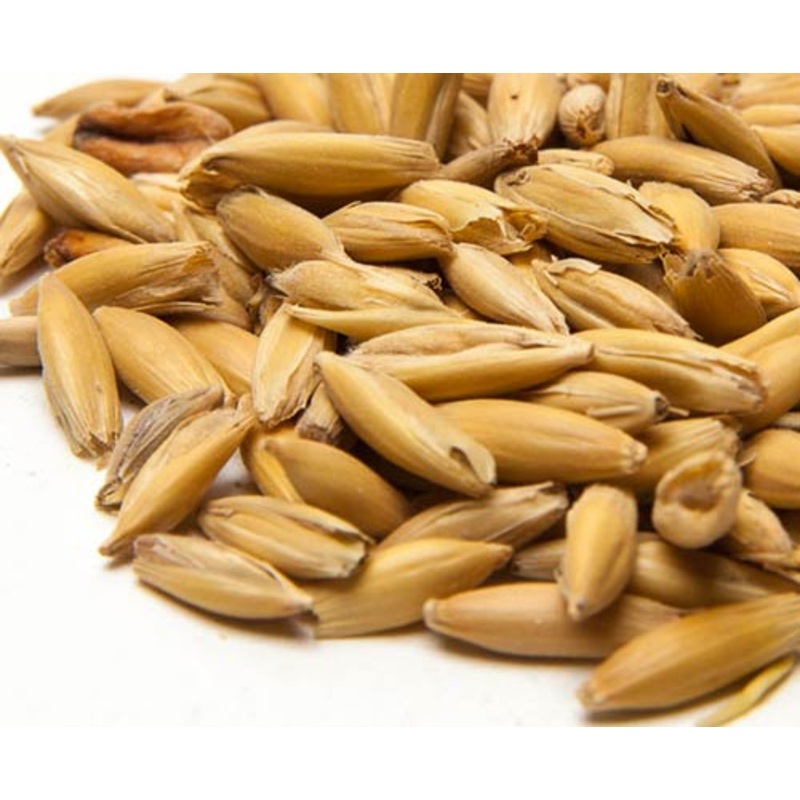 Malted Oats – lb|NO|Yes