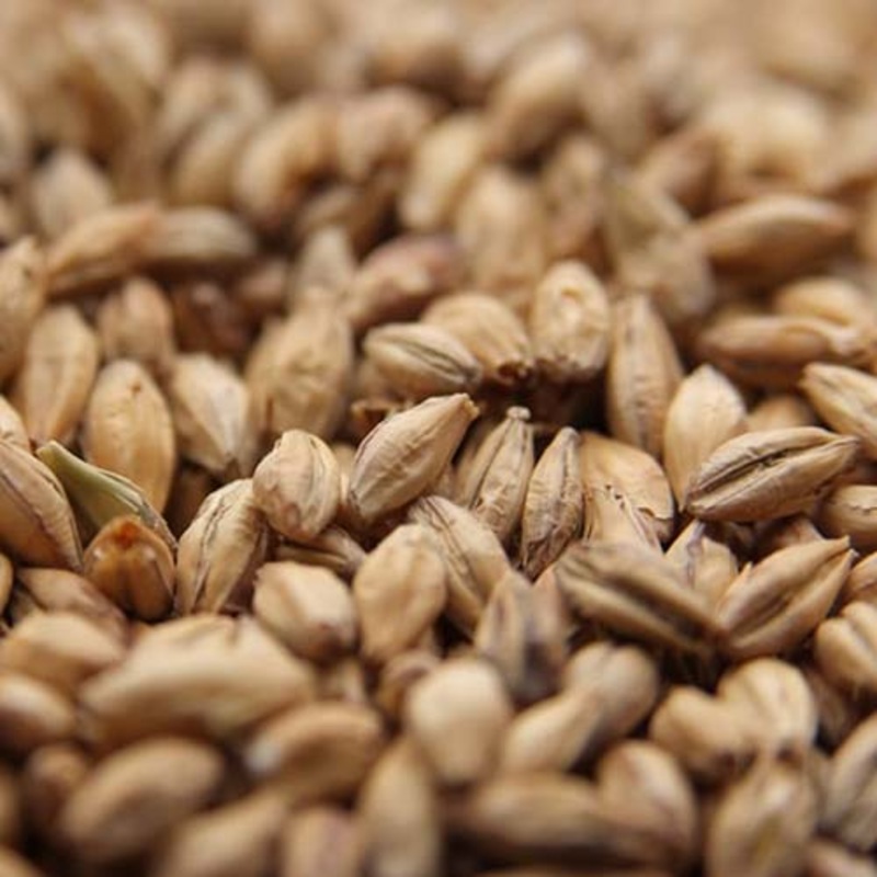 Weyermann Pale Ale Malt – 55 lb. Bag