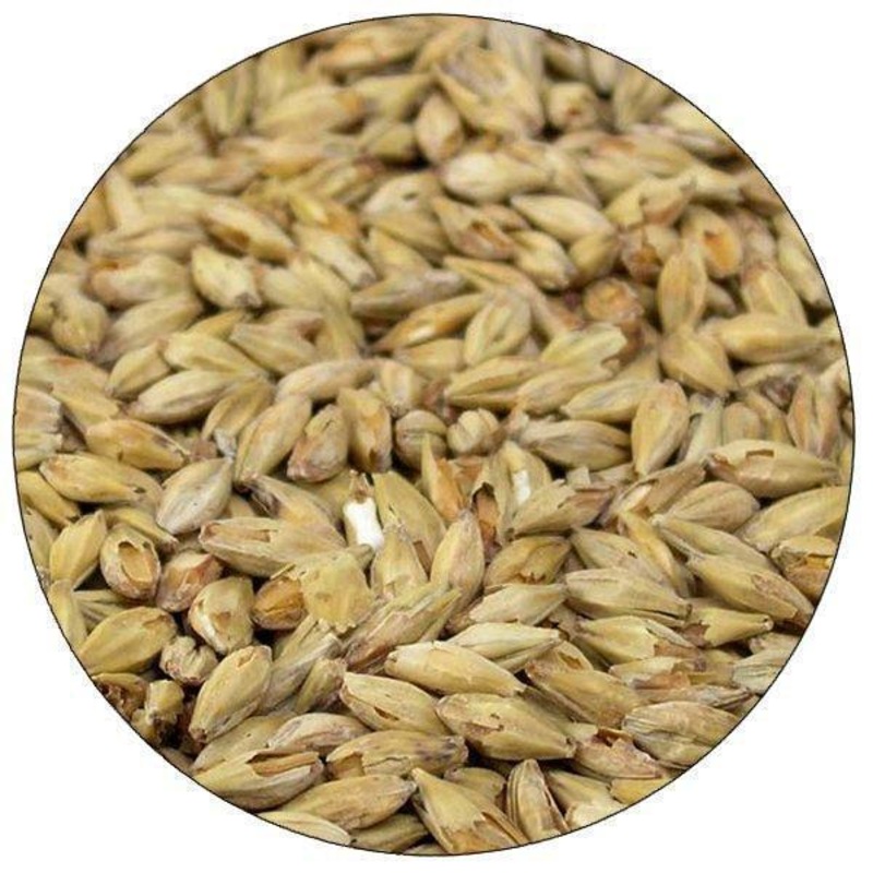 American Honey Malt – Briess – lb