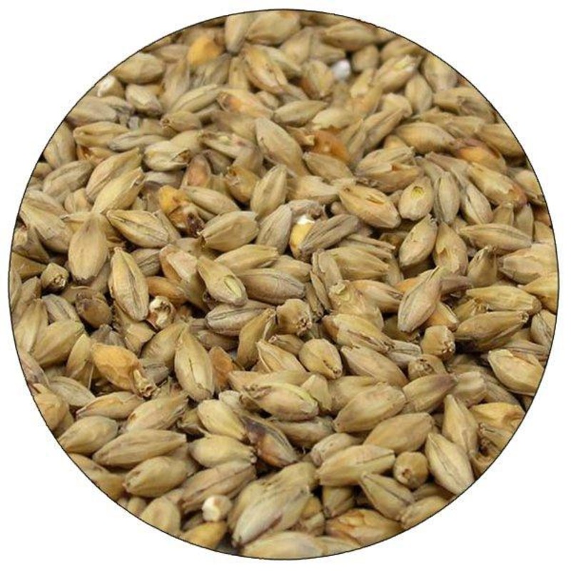 Best Malz German Munich Malt – lb