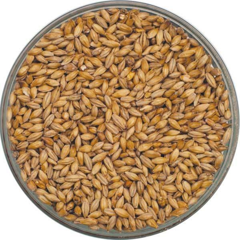 Best Malz German Pilsen Malt – lb