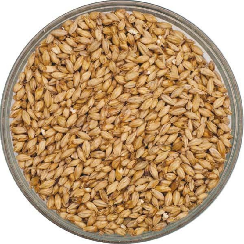 Canada Malting Pale Ale Malt – lb