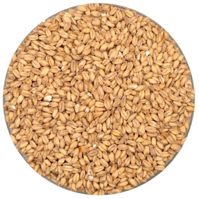 Canada Malting Wheat Malt – lb