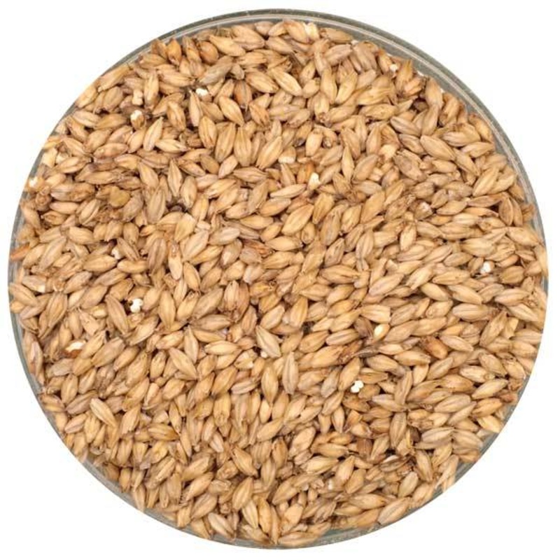 Crisp English Pale Malt – lb|One pound|Ten pounds|Yes|NO
