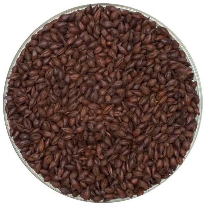Crisp English Roasted Barley Malt – 55 lb bag