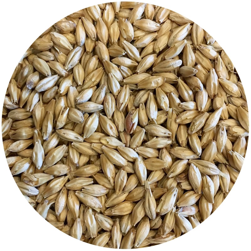 Mecca Grade Lamonta (American Pale) Malt – lb