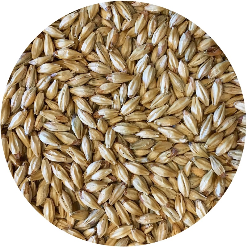 Mecca Grade Metolius (Munich-style) Malt – lb