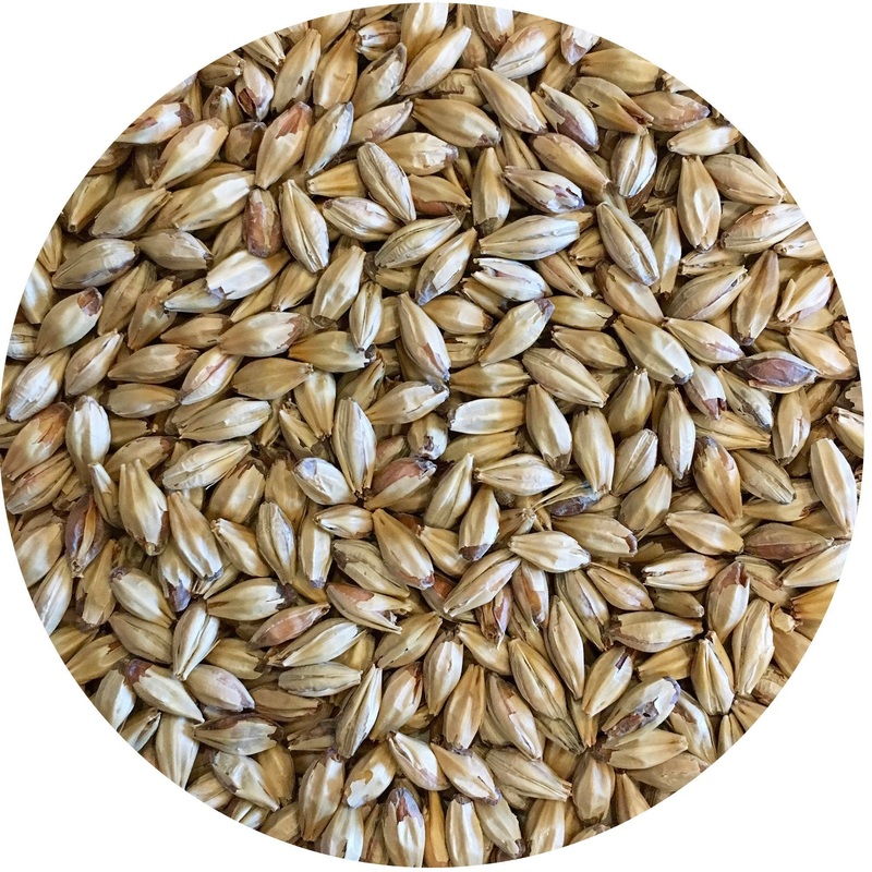 Mecca Grade Opal 44 (Caramelized, Toffee) Malt – lb