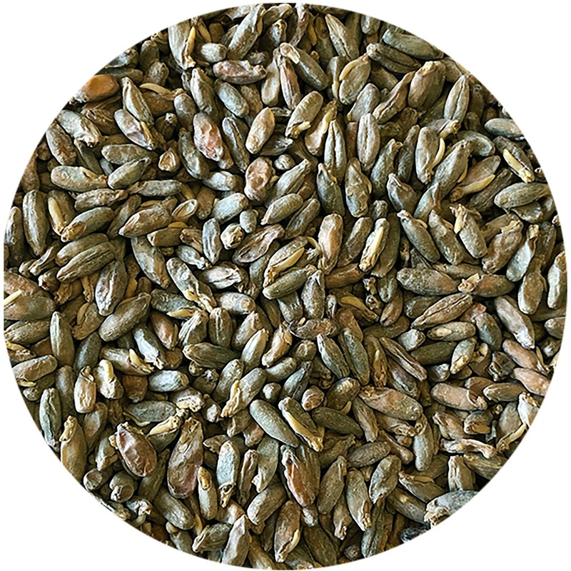 Mecca Grade Rimrock (Vienna-Style Spring Rye) Malt – lb