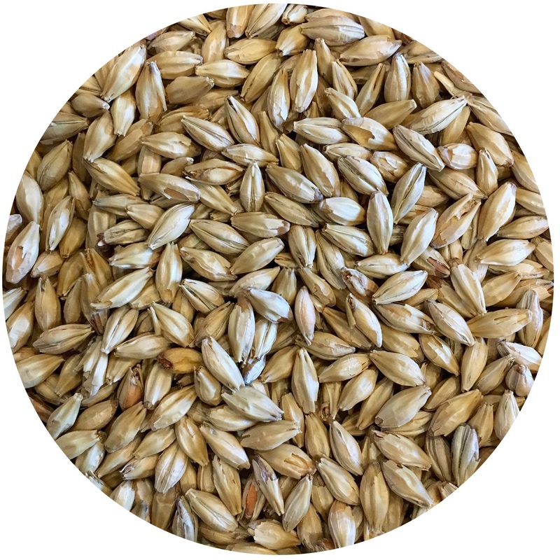 Mecca Grade Vanora (Vienna-style) Malt – lb