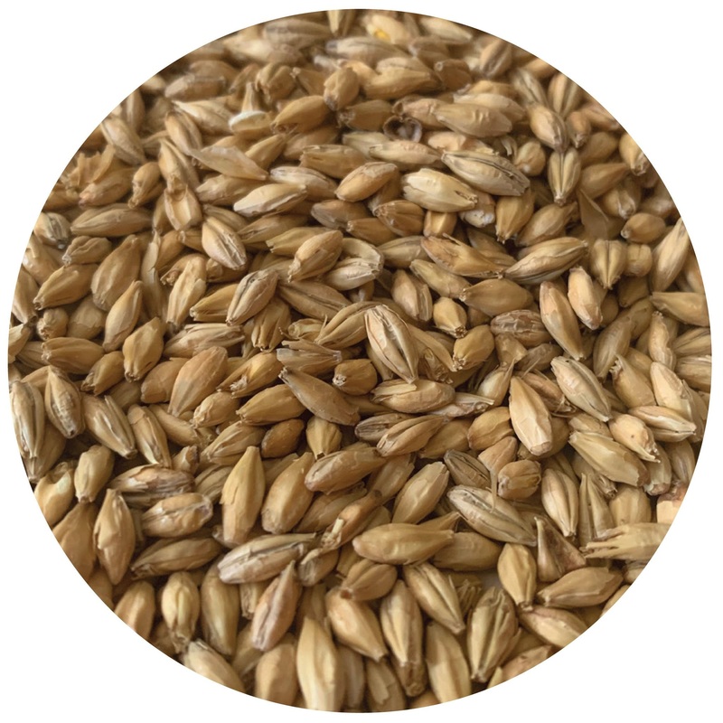 North Star Pils, Rahr Malting – lb