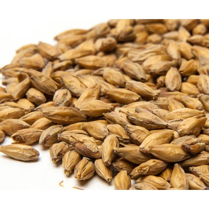 Prostejov Czech Pilsen Malt  – 55 lb bag
