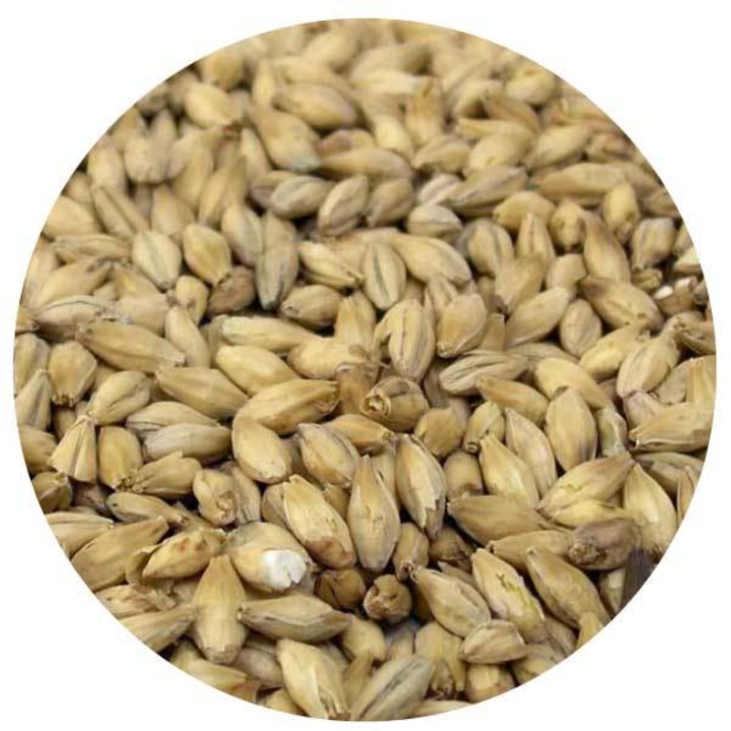 Weyermann Isaria 1924 Heirloom Malt – lb
