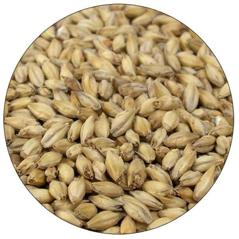 Briess 2-Row Brewers Malt – lb